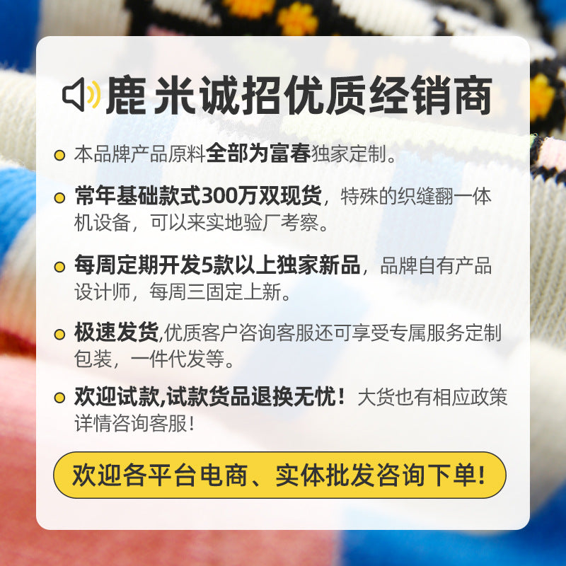 Wholesale Cartoon cute middle tube cotton socks couple Christmas socks gift box